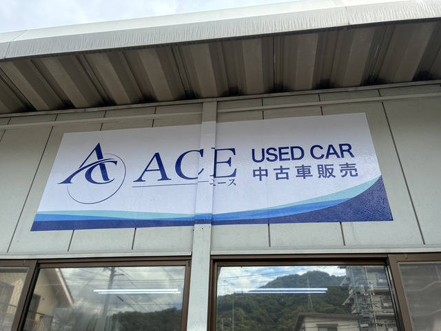 株式会社ACE