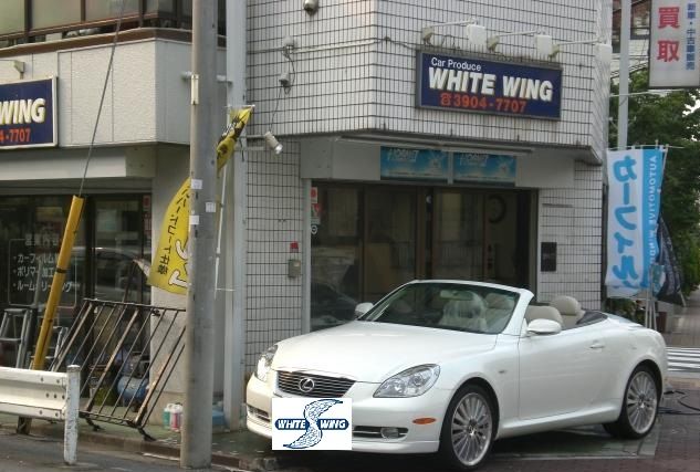 WHITE WING【ホワイトウイング】