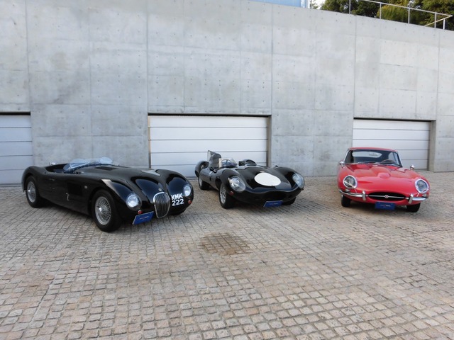 /その他 ジャガー