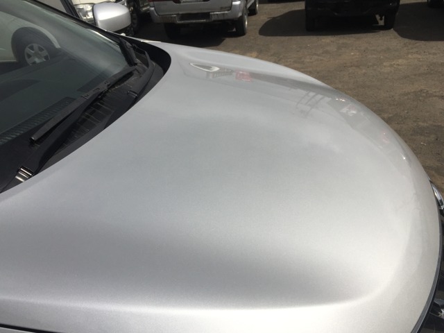 ���{���l�b�g�ł��B�T�r��w�R�~�͂���܂����