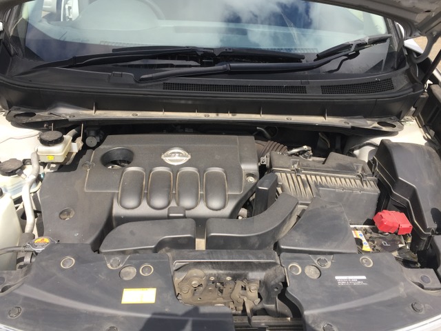 ���G���W�����[���ł��B�I�C���R��A�ى��A���H���͂���܂����