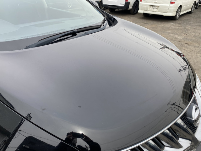 ���{���l�b�g�ł��B�T�r��w�R�~�͂���܂���