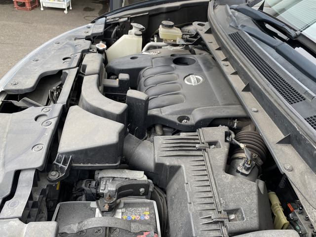 ���G���W�����[���ł��B�I�C���R��A�ى����͂���܂����