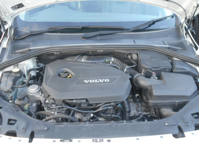 ���X�劽�}�ł�!!���O�ɂ��⍇���̏ゲ���X��������!