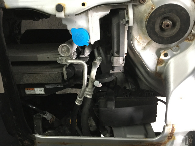 ����]�̂��Ԃ����q�l�ƈꏏ�ɂ��T�����邱�Ƃ��\�ł�!�܂��͂���]�������������������B