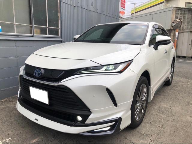 �n���A�[(�g���^) �։��� �o�b�N�J���� �N���A�����X�\�i�[ ���Îԉ摜