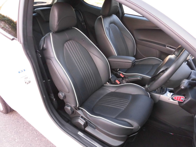 ミトクアドリフォリオ ヴェルデ