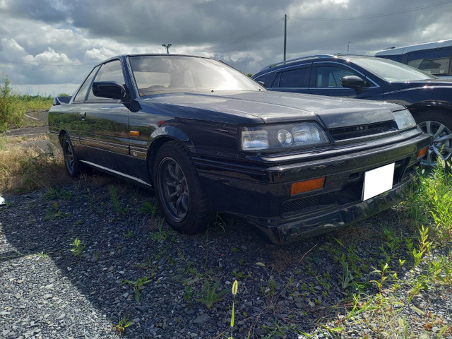スカイライン