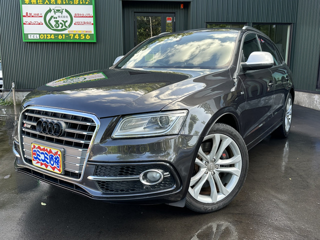 SQ5(アウディ) 3.0 4WD　☆本州仕入車☆Digi-Tec施工☆ 中古車画像