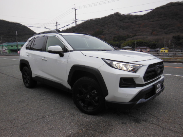 RAV4(トヨタ) 2.0 アドベンチャー オフロードパッケージ 4WD 中古車画像