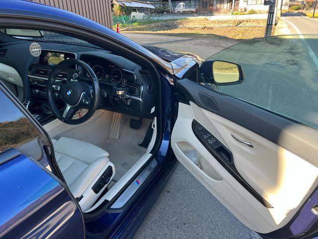 �u���[�̃{�f�B�ɔ��v�����A�T�����[�t�����Ɣz�F�⑕�����̂��ƂĂ��������Ȏԗ��ł��B