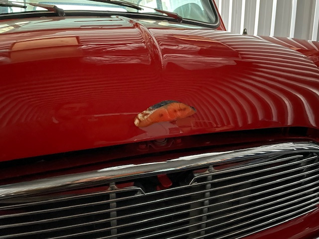 �V�����ō����t���Ă��܂������D�݂̕��Ɍ������܂��B