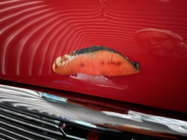 �V�����ō����t���Ă��܂������D�݂̕��Ɍ������܂��B