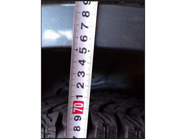 �m�[�}���T�X&�^�C����75cm