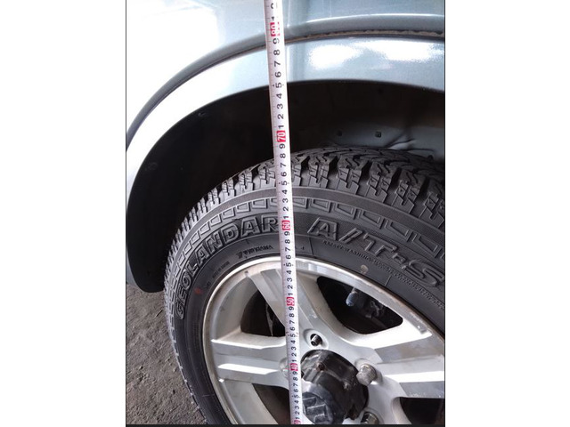 �m�[�}���T�X&�^�C����75cm