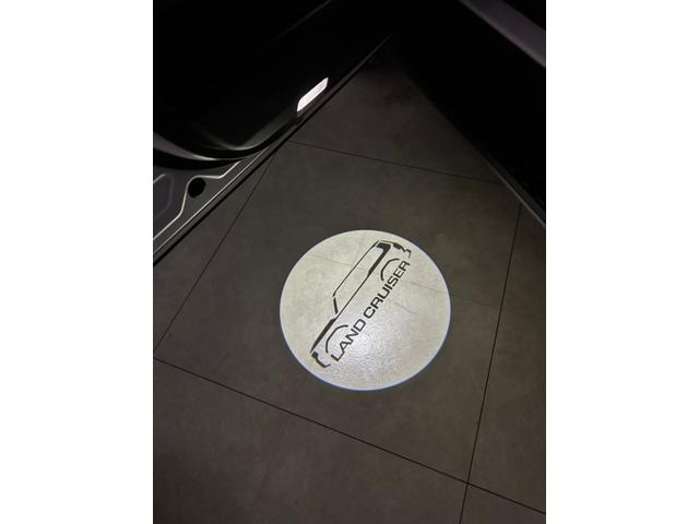 �v���W�F�N�V�����J�[�e�V�C���~(29,700�~)