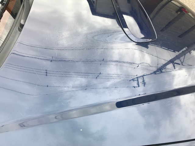 �ēh���ɂēn��