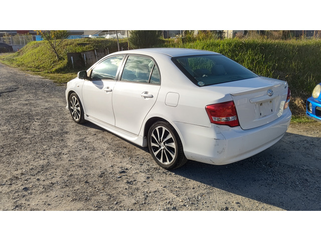 ���A�o���p�[�̃L�Y�͖ڗ����܂�