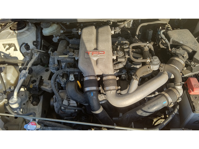 �^�[�{�t���ł�