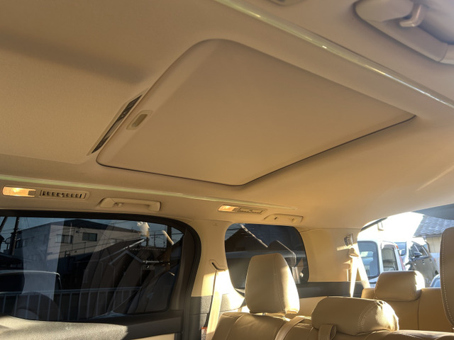 X�O���[�h�ŃT�����[�t�󏭂ł��B