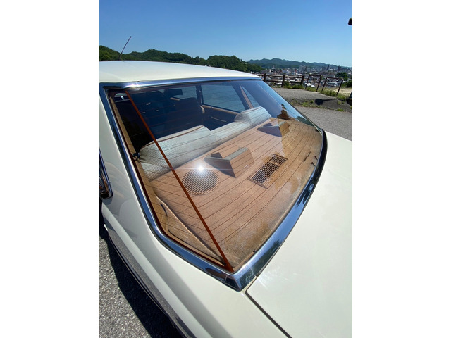 ���ł͒������ꖇ���̃��A�K���X���f�G�ł���