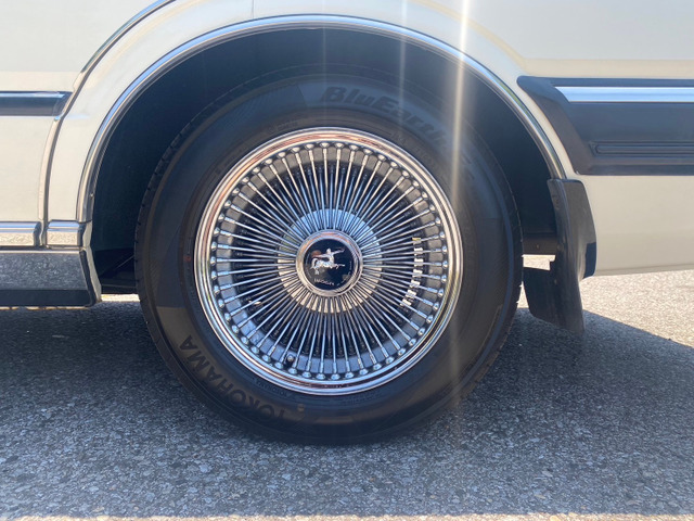 ���C�U�[���C���[�z�C�[��!�^�C����8���R�ł�