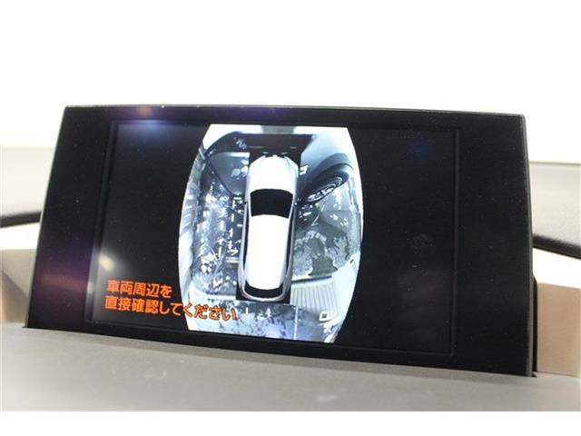 NX300h Fスポーツ 4WD