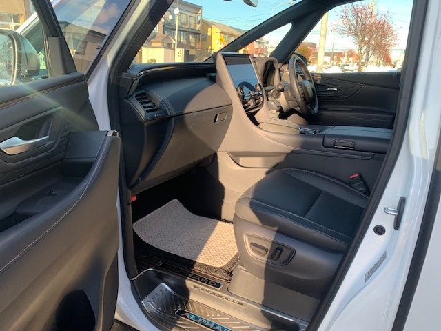 �V�i���l!?�����L���C��������