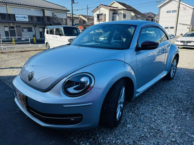 ザ・ビートルデザイン レザーパッケージ