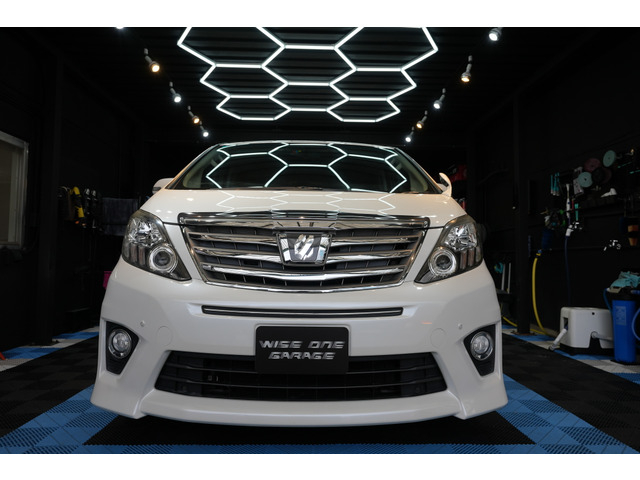 H25�N�� �g���^ �A���t�@�[�h���ɂ��܂���!