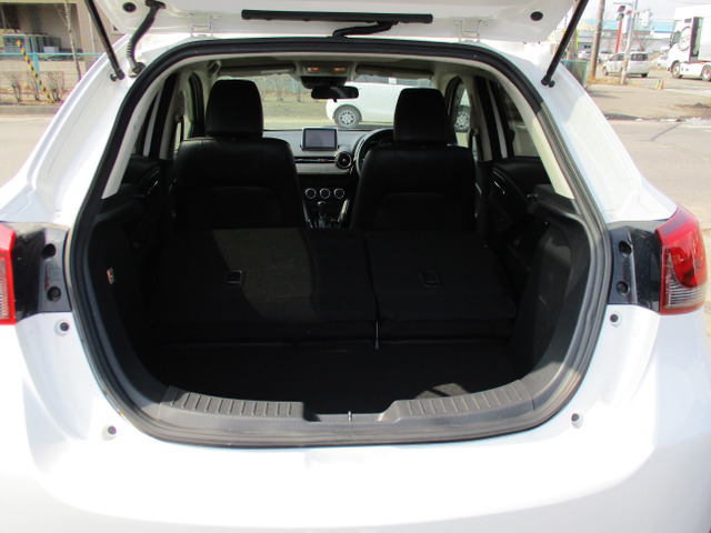 �����A�ȓ|������Ԃł���