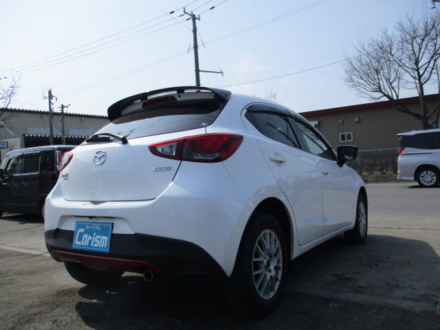 �����₷���傫���̏�p�Ԃł���