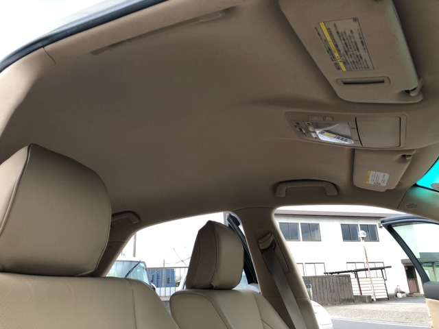 �Y��ȓV����ł�