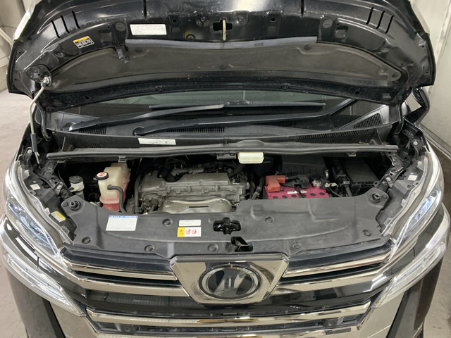 ����]�̂��Ԃ����q�l�ƈꏏ�ɂ��T�����邱�Ƃ��\�ł�!�܂��͂���]�������������������B