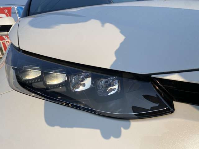 ���߂Ă��Ԃ����w������邨�q�l�ɂ��X�b�^�t���e�؁A���J�ɂǂ�Ȃ񂱂Ƃł��������������܂��B