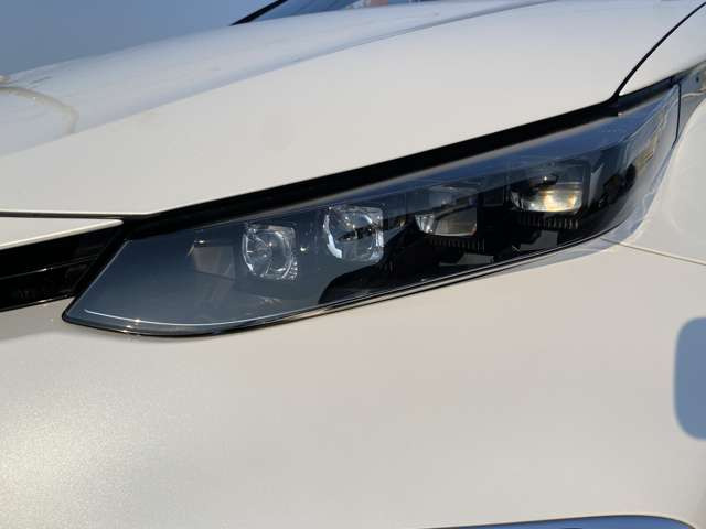 ���߂Ă��Ԃ����w������邨�q�l�ɂ��X�b�^�t���e�؁A���J�ɂǂ�Ȃ񂱂Ƃł��������������܂��B