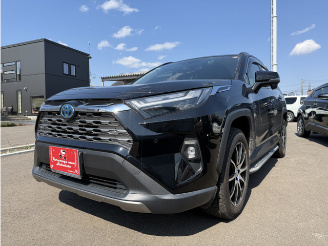 RAV4(トヨタ) 2.5 ハイブリッド G E-Four 4WD 中古車画像