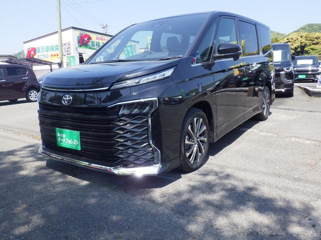 ヴォクシー(トヨタ) 2.0 S-Z　純正メモリーナビ 地デジフルセグTV 中古車画像