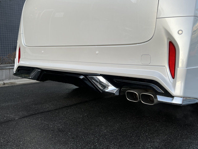 リヤスカート、ドレスアップマフラーも付いております。