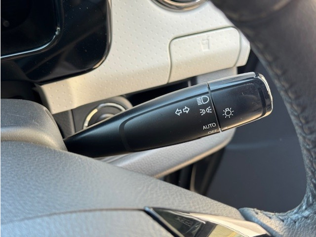 �I�[�N�V������s���D�Ȃǂ������k���������B