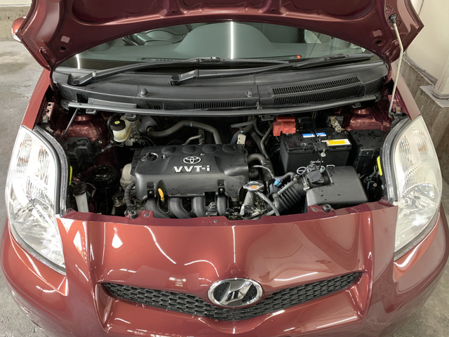 ����]�̂��Ԃ����q�l�ƈꏏ�ɂ��T�����邱�Ƃ��\�ł�!�܂��͂���]�������������������B