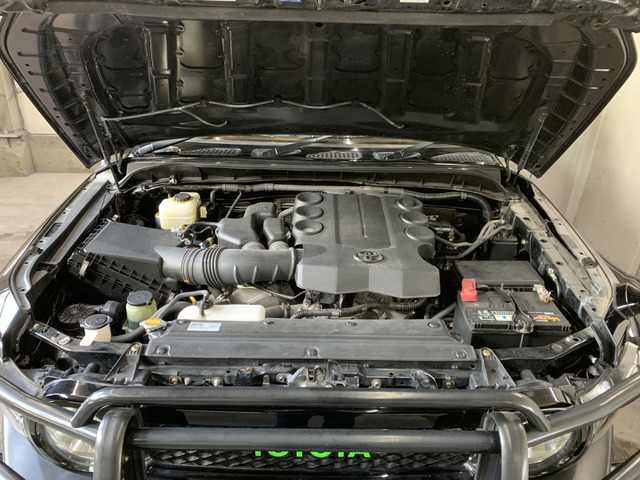 ����]�̂��Ԃ����q�l�ƈꏏ�ɂ��T�����邱�Ƃ��\�ł�!�܂��͂���]�������������������B