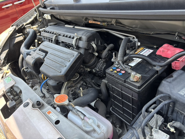 �{���l�b�g�������ꂢ�ł�!