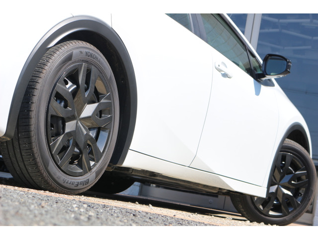 ���������V�b�J���Ƃ��Ă���܂��̂ň��肵�����肪�\�ł�!