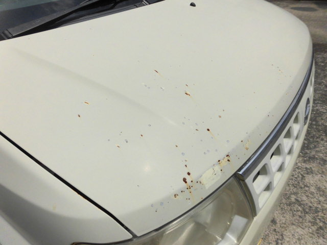 �y���݁z��Ԃőݏo���̏ꍇ���������܂��B���s�������኱�L�т܂����������������B