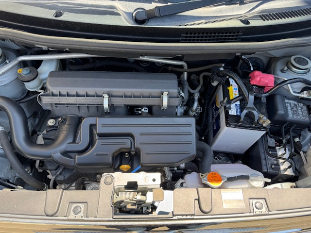 �K�����Ȃ���Ԃ��ǍD�ł��B