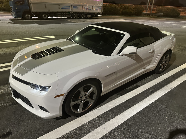 �J�}���R���o�[�`�u��(�V�{���[)  ���Îԉ摜