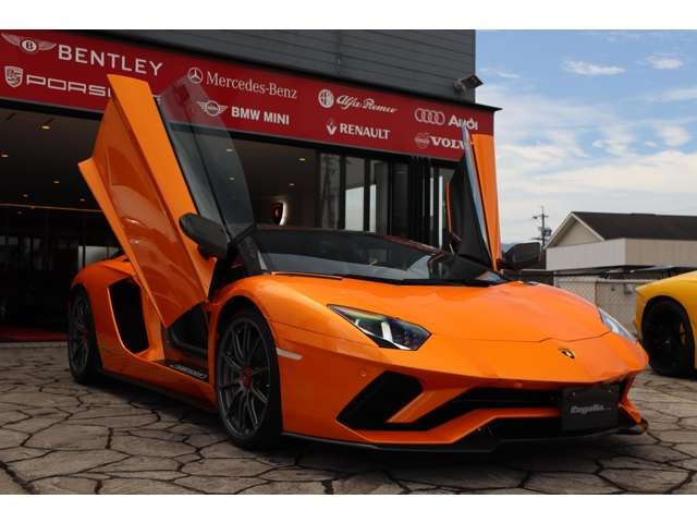 �o���p�[�A�w�b�h���C�g�A�t�����g�K���X���ɂ��v���e�N�V�����t�B�����{�H�ς݂ł��B