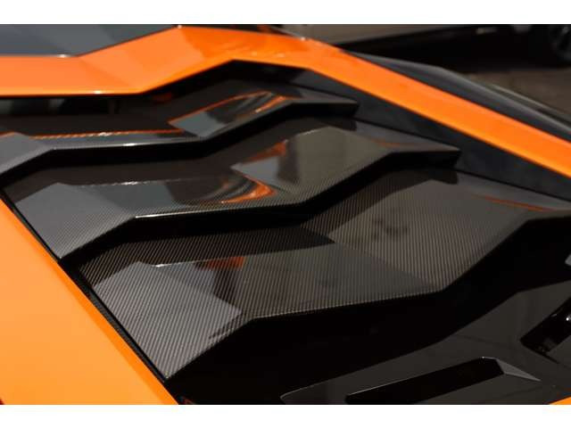 �J�[�{���G���W���t�[�h��880,000