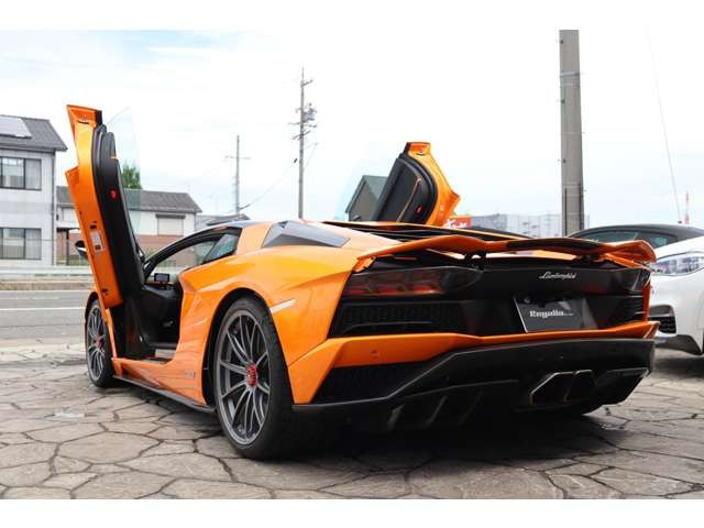 �V���[���[�����œW�����Ă���܂��̂ŁA�V����C�ɂ��ꂸ�������������܂��B